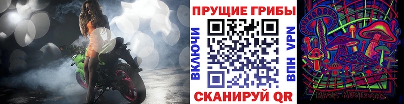 Купить Яхрома Псилоцибиновые грибы GOLDEN TEACHER
