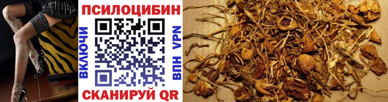 Псилоцибиновые грибы мицелий Яхрома